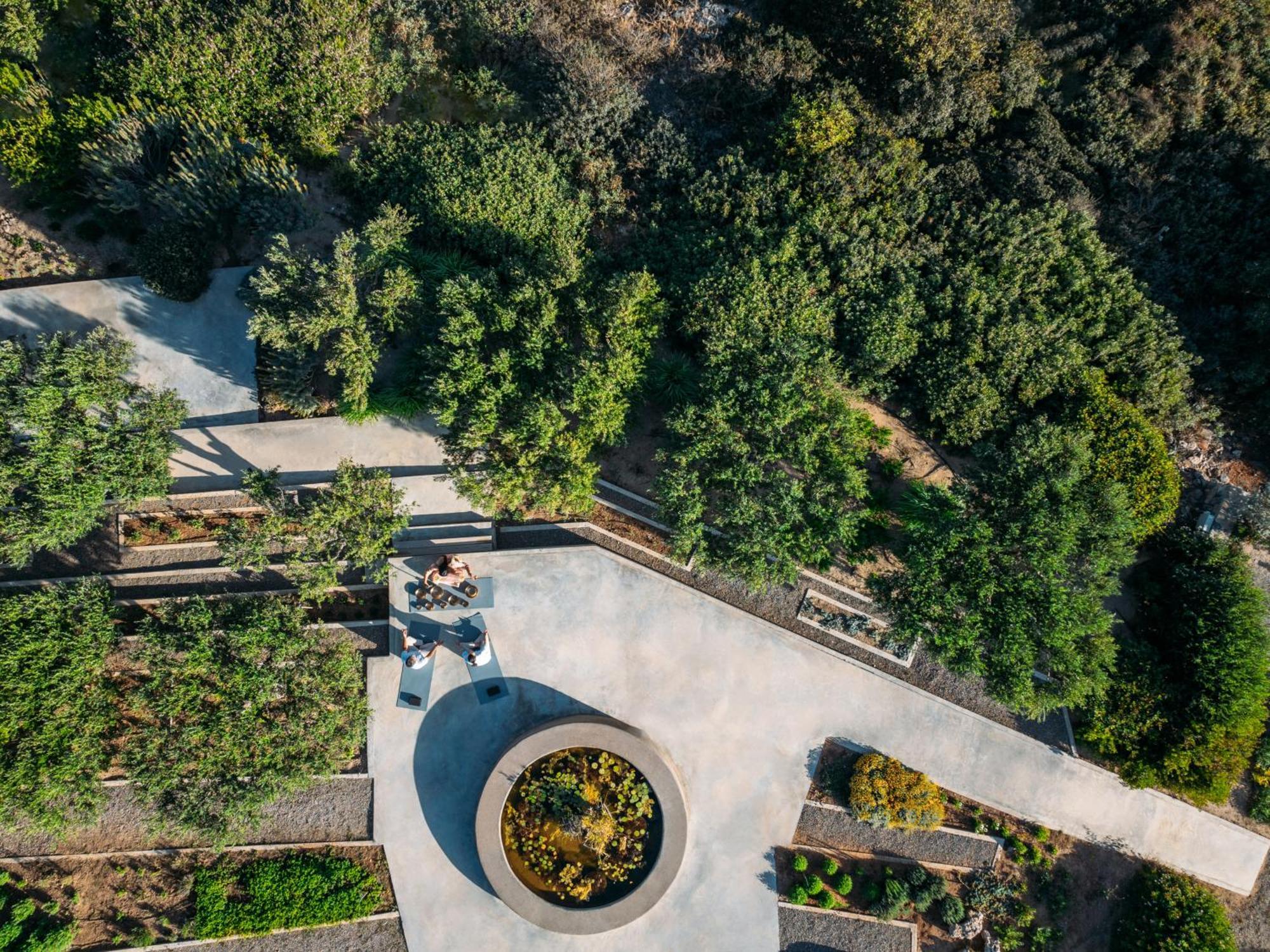 Minos Palace - Adults Only מלון 5*